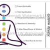 Tear off pad of paper printed with the chakra system on a figure, the corresponding chakra color and description with a check off box and blank back to write notes for your clients.